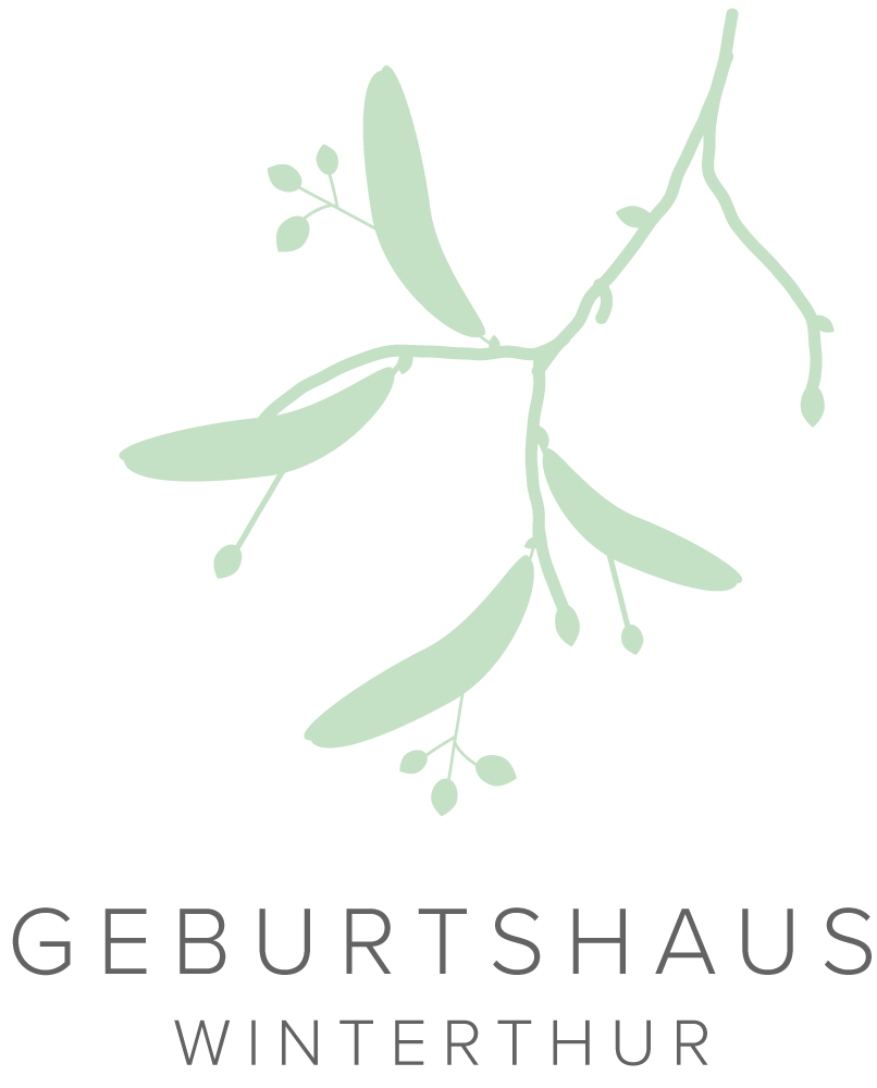 Partner Plus Partner Logo